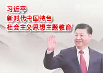 学习贯彻习近平新时代中国特色社会主义思想主题教育